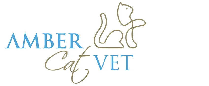 amber vet