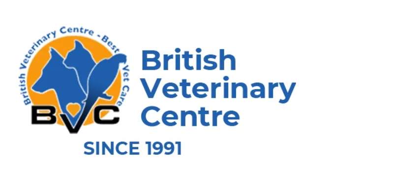 bvc transparent logo